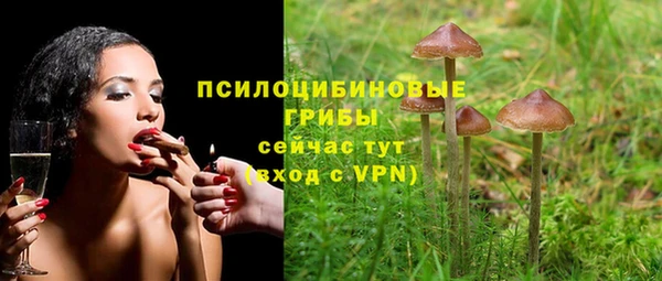 амф Алексин